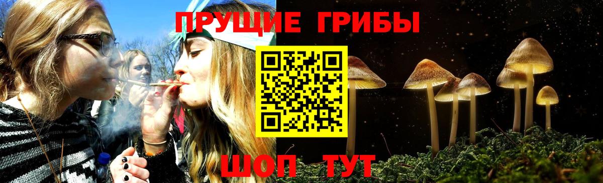 Галлюциногенные грибы GOLDEN TEACHER Реутов