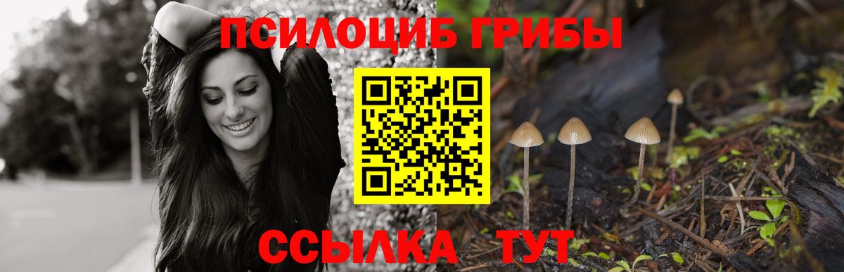 Галлюциногенные грибы GOLDEN TEACHER  Вход с VPN  Реутов 